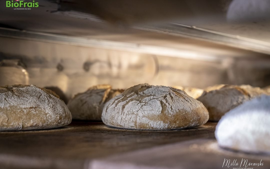 Tourte du grenier : Un pain qui allie tradition et bien-être